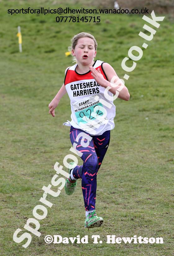 Under-13 girls NEHL Wrekenton, Gateshead. 2014 NEH, Wrekenton. Photo: David T. Hewitson/Sports for All Pics